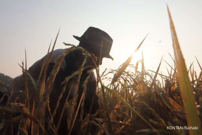 Selamat Hari Pangan Sedunia 2025, Ini 30 Contoh Ucapan yang Penuh Refleksi