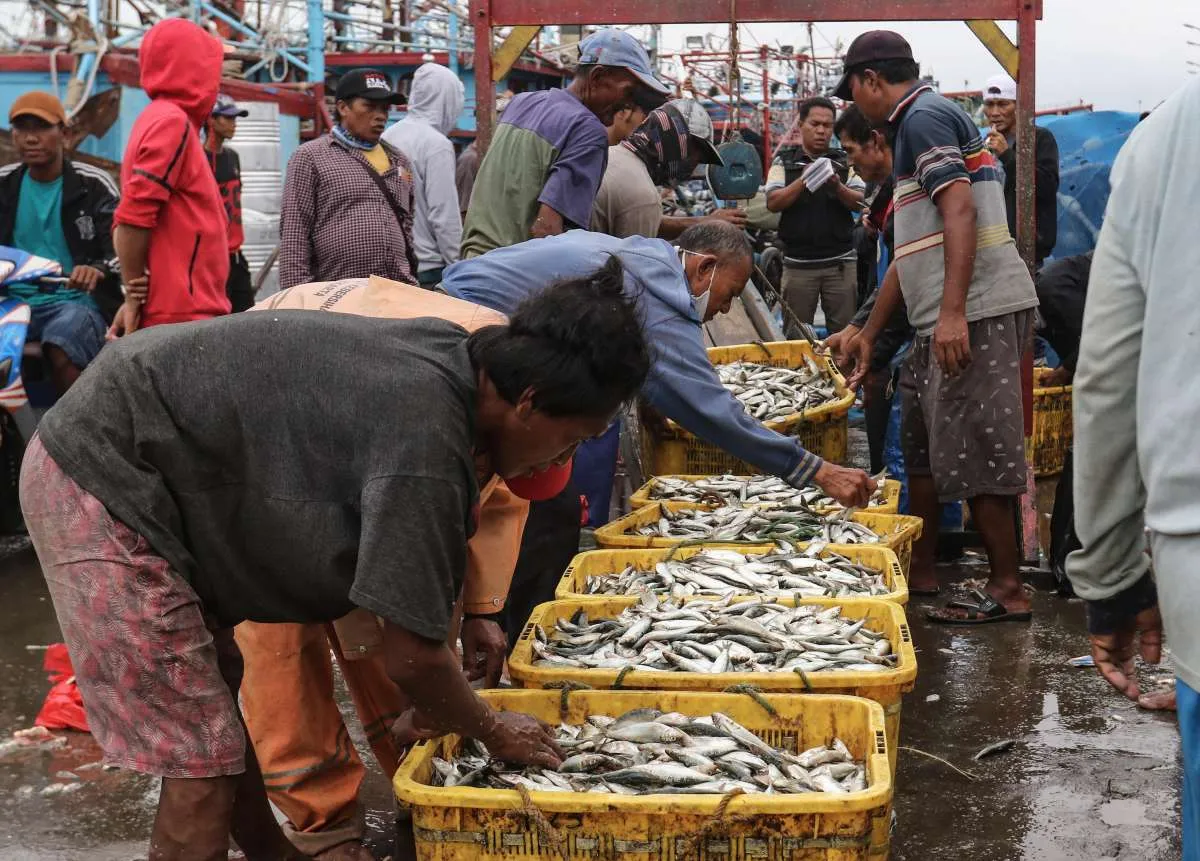 Tak Boleh Mancing di Laut Sembarangan Mulai 2023, Ada Kuota Tangkap Ikan