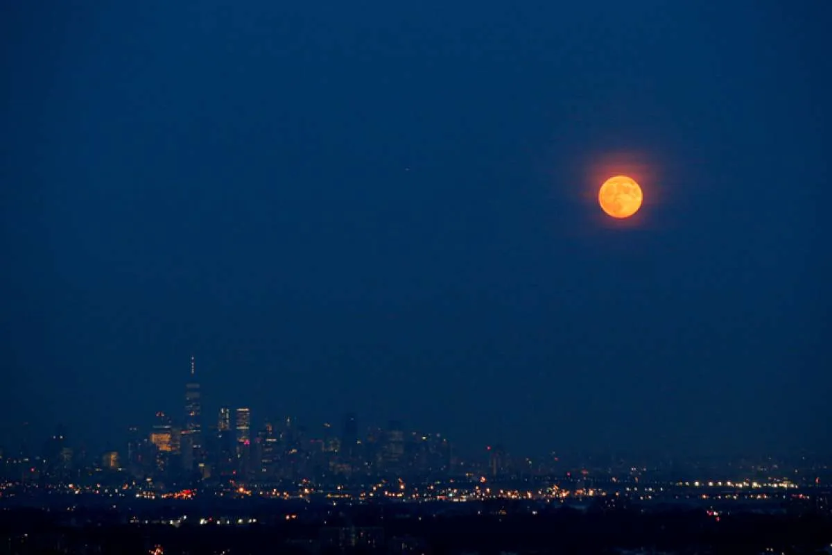 Apa itu Blue Moon? Mari mengenal fenomena tersebut dan kapan akan terjadi lagi