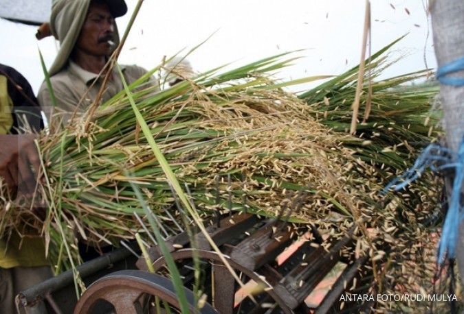 HKTI keluhkan rendahnya harga gabah jelang panen