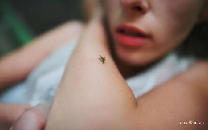 Strategi Atasi DBD Tangerang, Libatkan Jumantik & 3M Plus