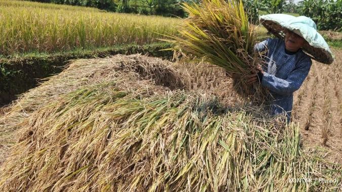 Pemerintah kurang serius dalam investasi pertanian