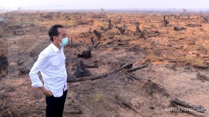 Jokowi: Perlu waktu membereskan kebakaran lahan