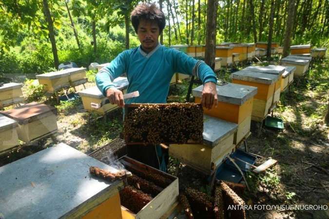 3 ​Manfaat madu untuk wajah, bisa cerahkan kulit dan obati jerawat