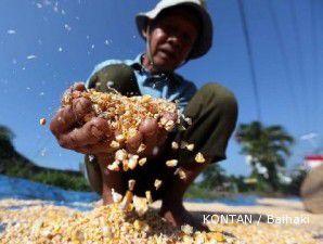 Harga pangan bakal capai titik tertinggi tahun ini akibat percepatan inflasi