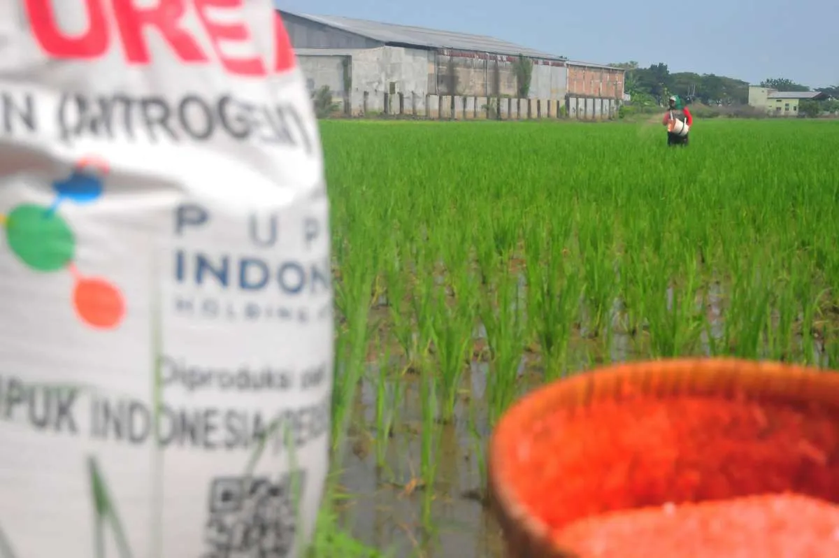 Pemerintah Harus Menyiapkan Standardisasi Penyaluran Pupuk Bersubsidi