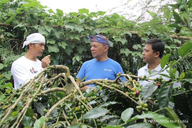 Menyesap Kopi Langit Arabika Kintamani yang Siap Menembus Pasar Global