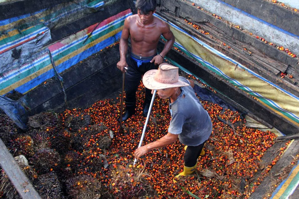 Dorong Hilirisasi, Kemenperin Susun Peta Jalan Industri Sawit Indonesia Emas 2045
