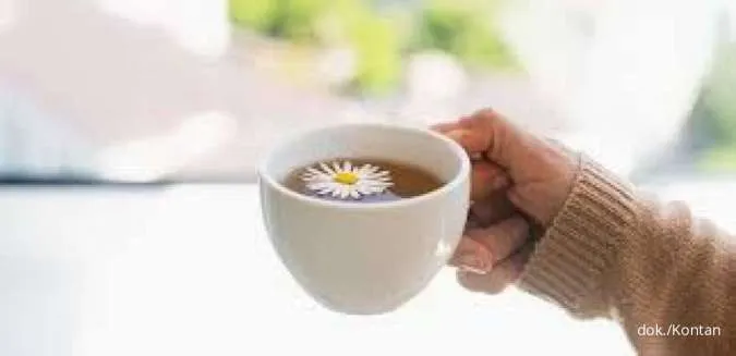 5 Minuman Penenang untuk Meredakan Stres Menurut Ahli