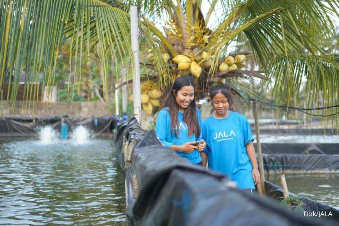 Memanen Cuan dari Si Bongkok 