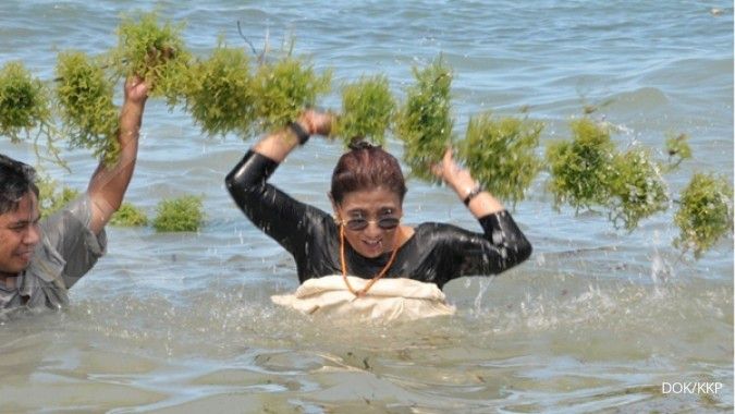 Petani mengeluhkan harga rumput laut yang rendah 