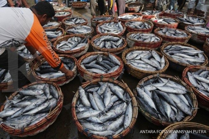 KKP optimistis produksi ikan tangkap bisa lewati target tahun ini
