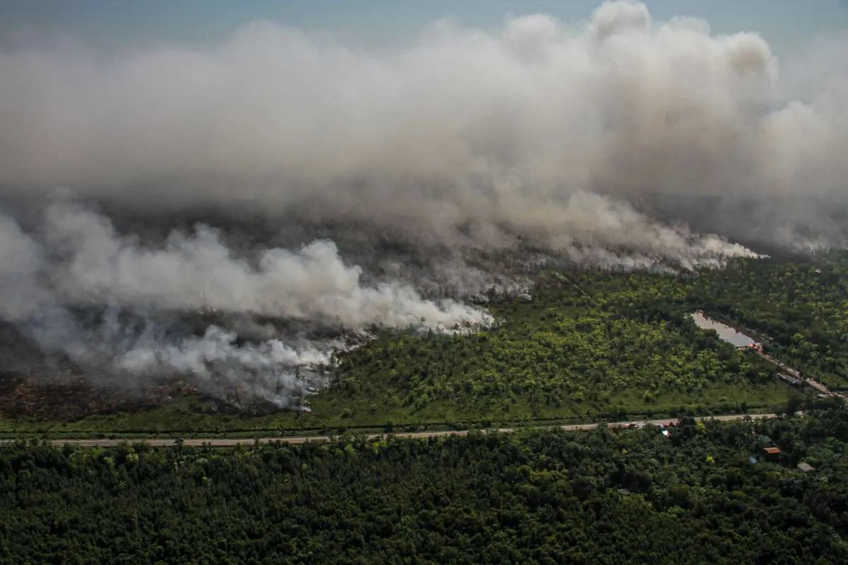 El Nino Picu Karhutla, Lahan Terbakar Tembus 107.000 Hektare