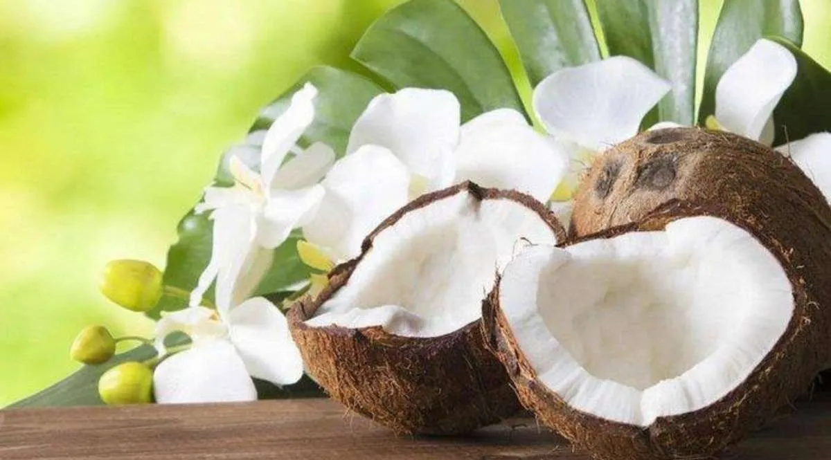 Mengelola Gula Darah, 6 Manfaat Kelapa yang Telah Dibuktikan Dalam Penelitian 