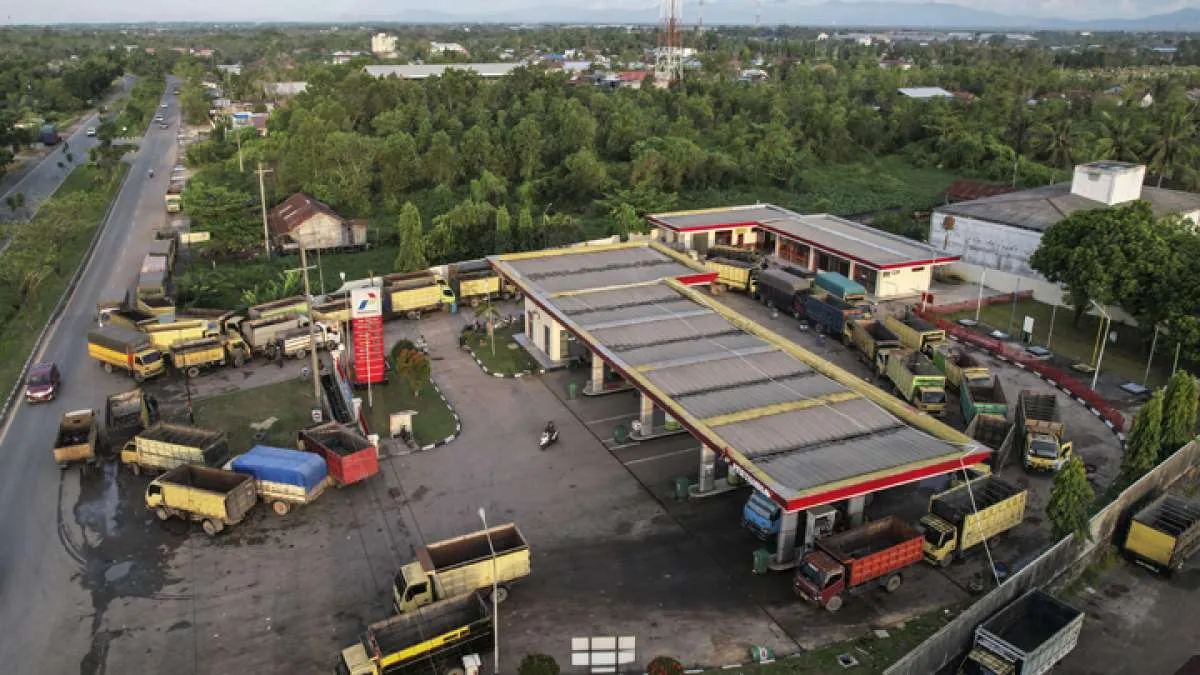 BPDPKS Tak lagi Bayar Insentif Program Biodiesel Hingga September 2022, Ini Sebabnya