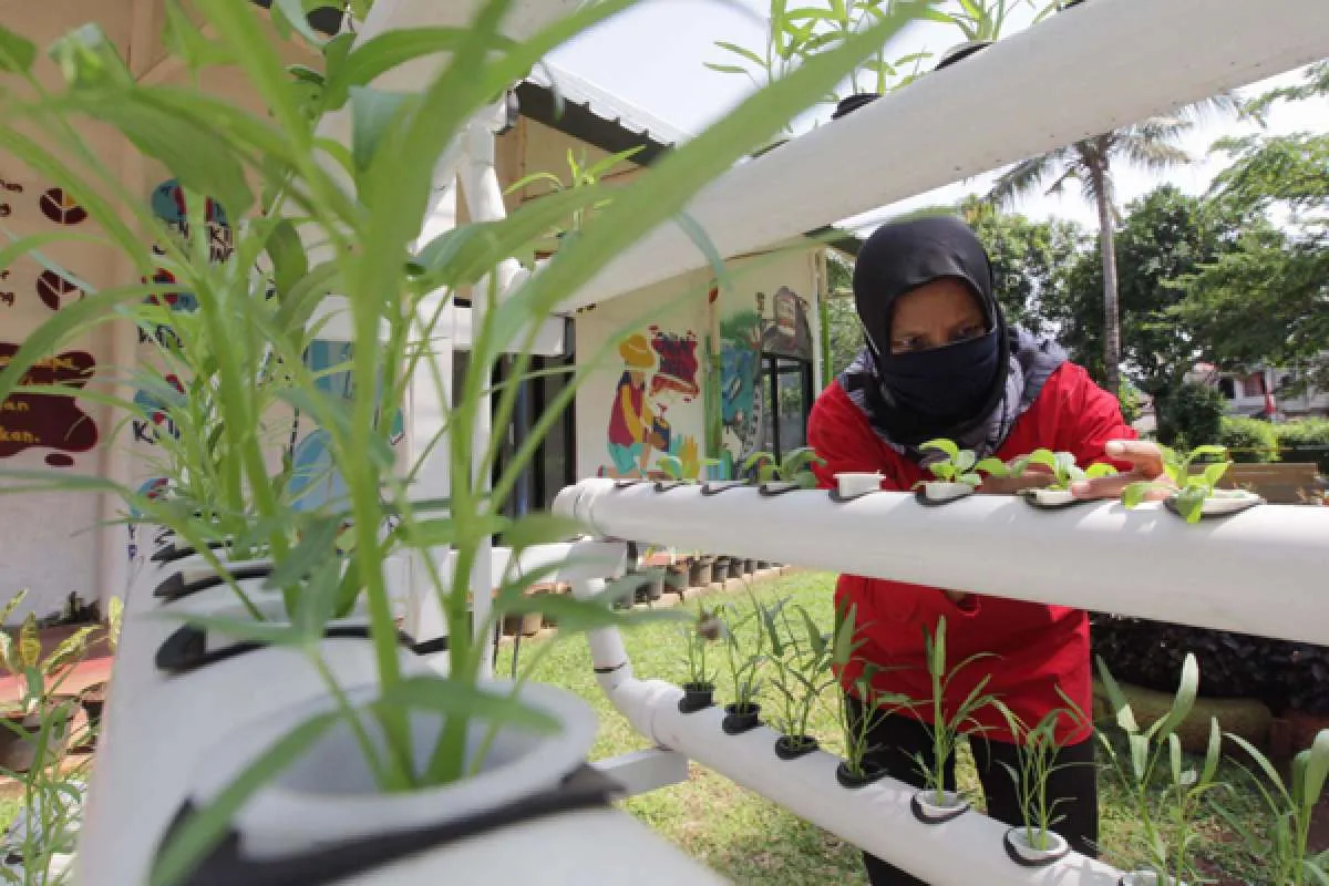 BRI Dorong Peran Perempuan Melalui Program BRInita