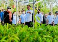 Mengapa Ibu Kota Negara Pindah ke Penajam Paser Utara? Ini 5 Alasannya