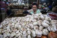  Importir Minta Harga Acuan Pembelian Bawang Putih Ditinjau Ulang, Ini Alasannya