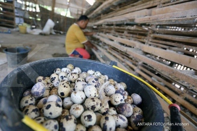 Jumlah protein yang pas buat tubuh