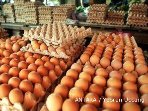 Gawat, telur ayam Amerika diduga mengandung bakteri