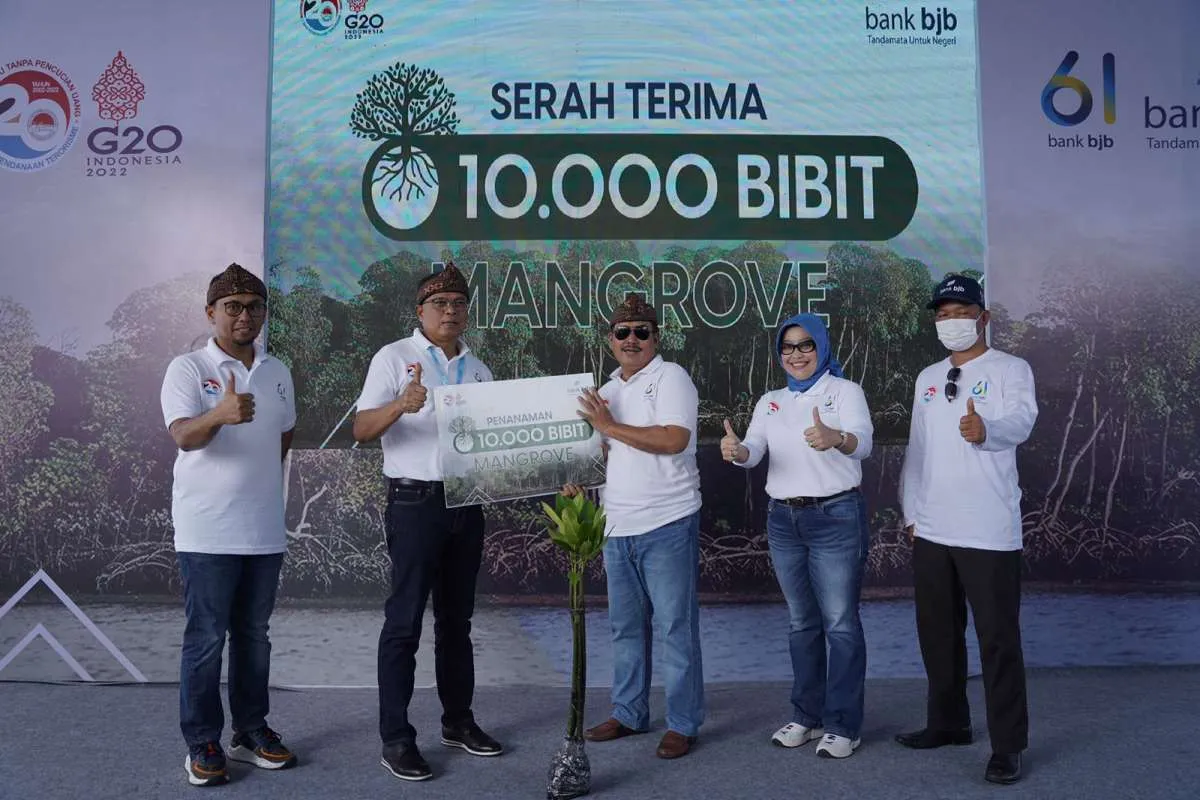 Tanam 2061 Pohon Mangrove, Bank BJB Dukung Indonesia Tanpa Pencucian Uang