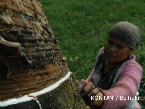 Harga karet melar karena produksi karet alam mengkeret