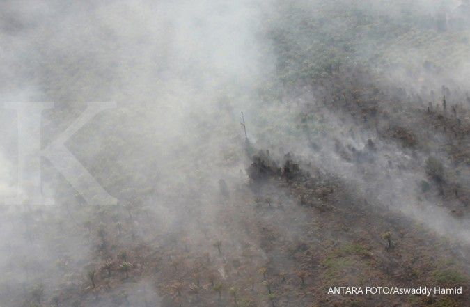 BPBD: Pemadaman kebakaran hutan dan lahan di kepulauan Meranti Riau masih dilakukan
