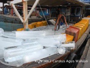 Pasokan ikan tuna anjlok karena nelayan tak dapat subsidi BBM dimuka
