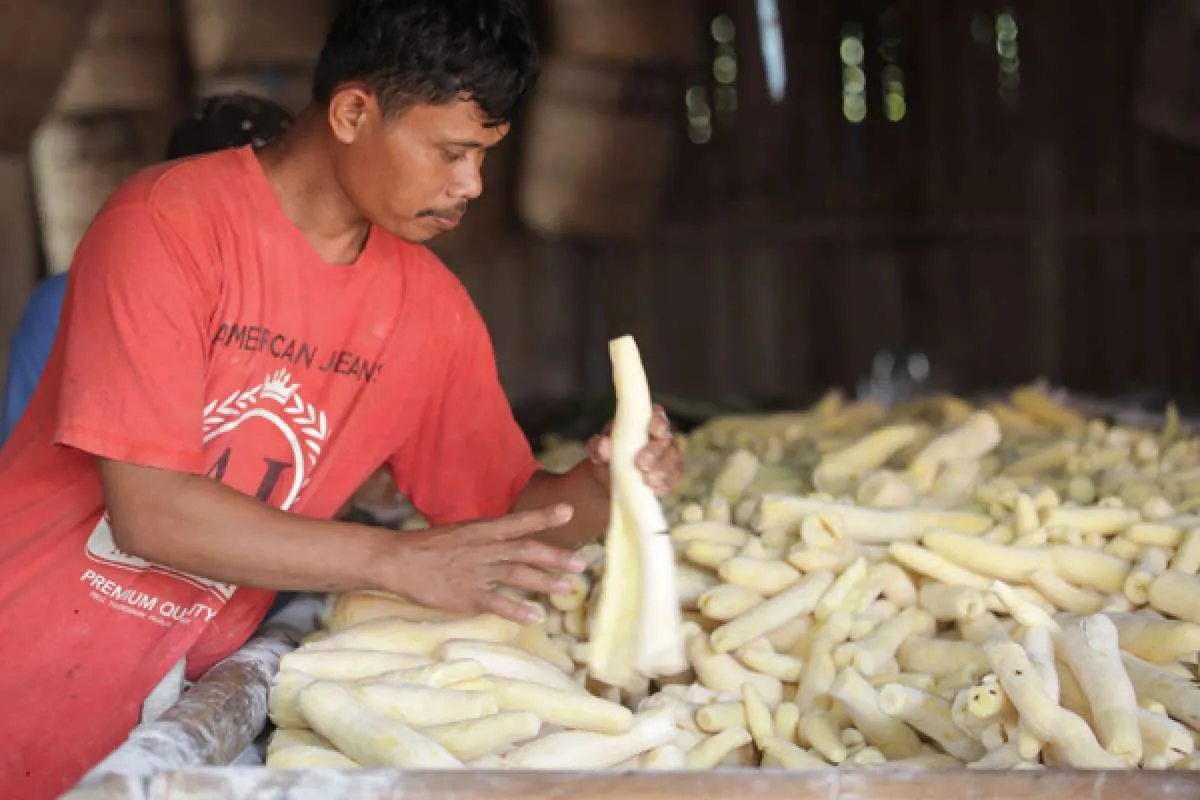 Tahap II mulai disalurkan, ini syarat dan cara dapatkan BLT UMKM Rp 2,4 juta