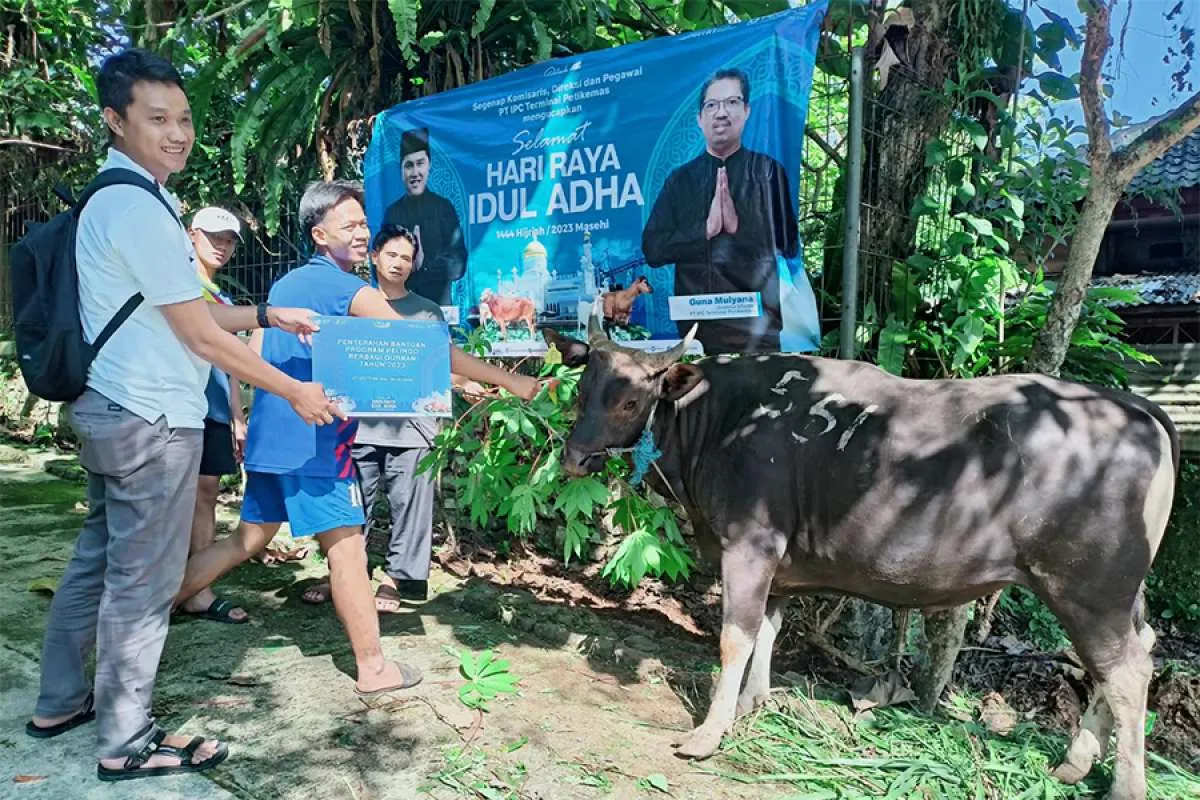 IPC TPK Serahkan Kurban Sapi untuk Masyarakat di 8 Provinsi