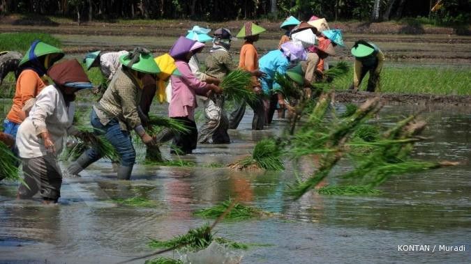 APBN 2013 sebaiknya fokus ke pertanian dan olahan