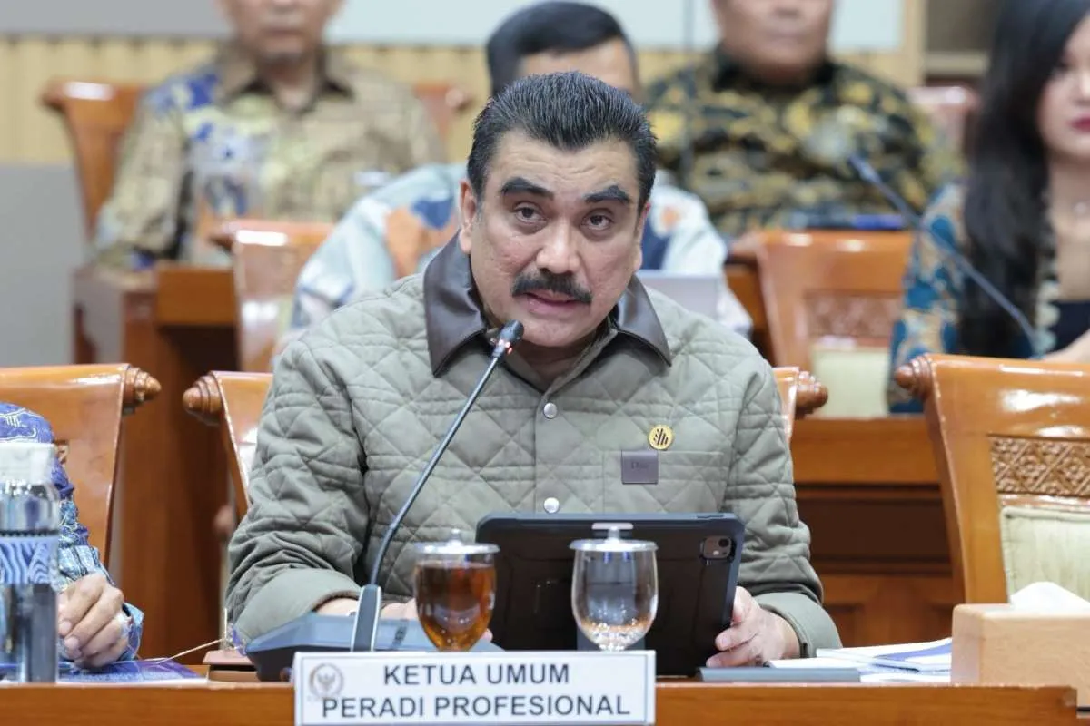 RUU Perampasan Aset, Peradi Profesional: Jangan Sampai Negara Jadi Sewenang-wenang