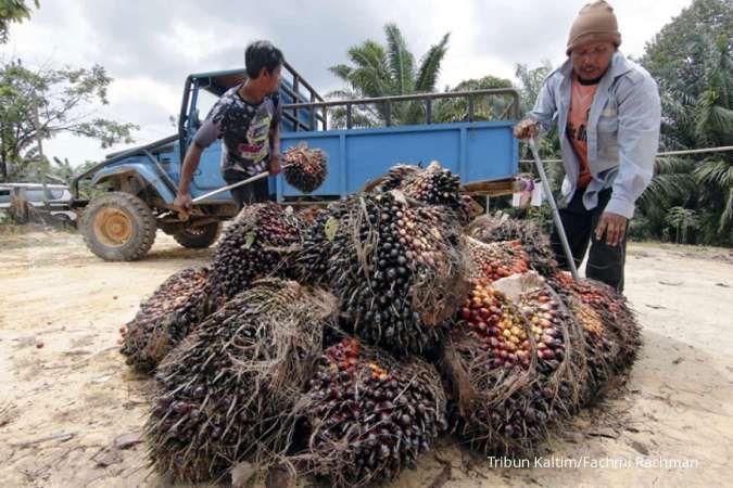 Kabar baik bagi produsen CPO Indonesia, India pangkas pembelian sawit dari Malaysia