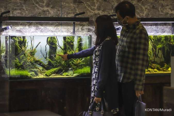 Bisnis Aquascape, Mengenyam Laba dari Ekosistem Alam  