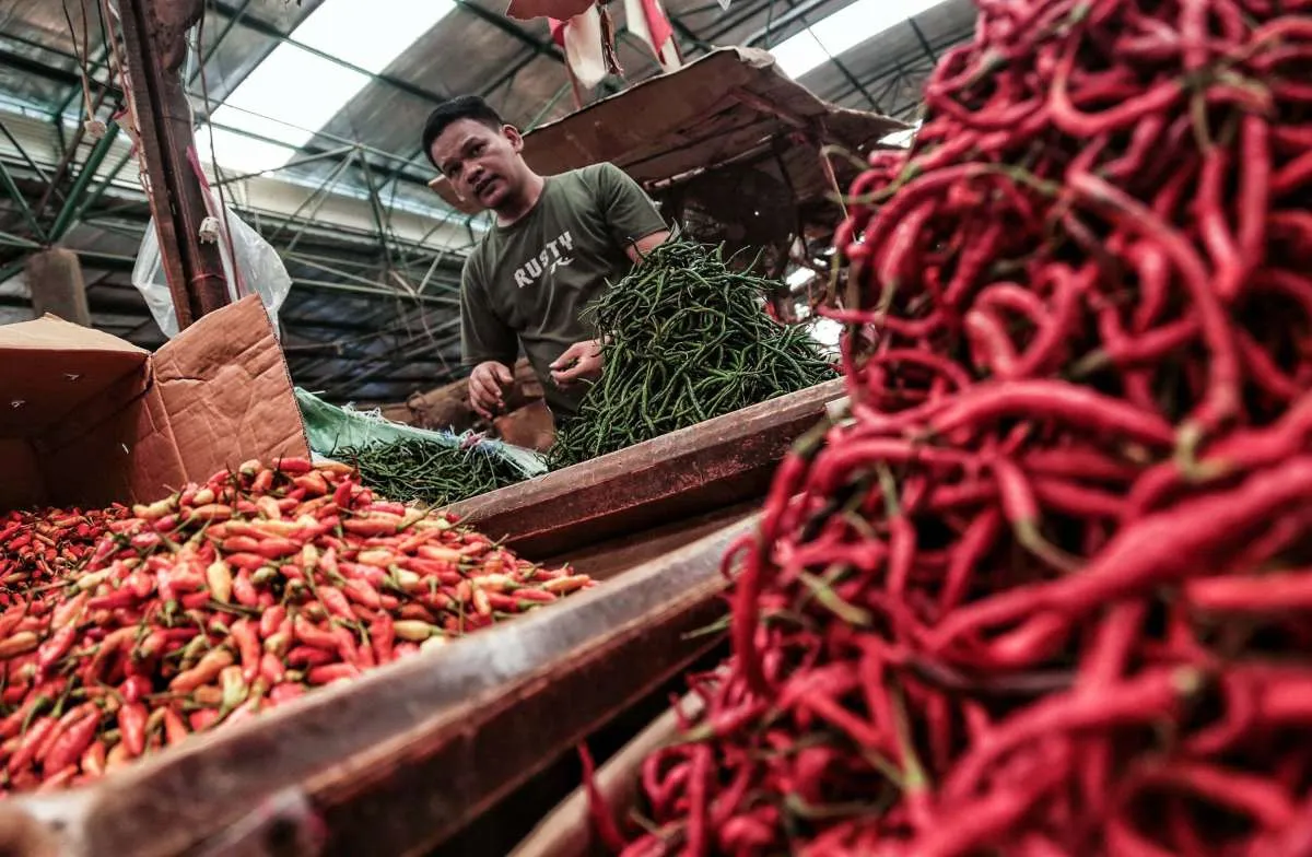 Update Harga Pangan Hari Ini: Harga Beras, Bawang Putih, Cabai hingga Daging Naik