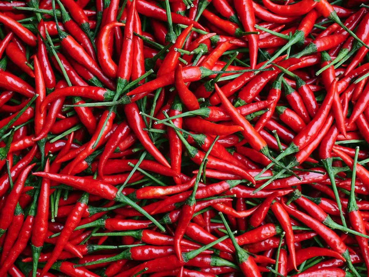 Proyeksi BI: Cabai Merah dan Minyak Kerek Inflasi