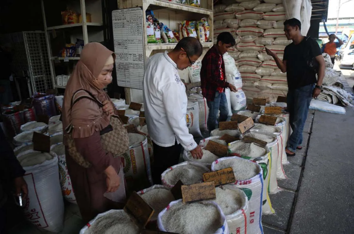 Perlu Langkah Drastis Tekan Lonjakan Harga Beras Supaya Tak Sulut Inflasi