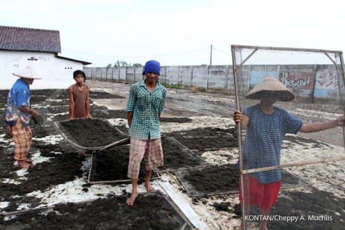 Duh, petani rumput laut di Bali beralih jadi buruh