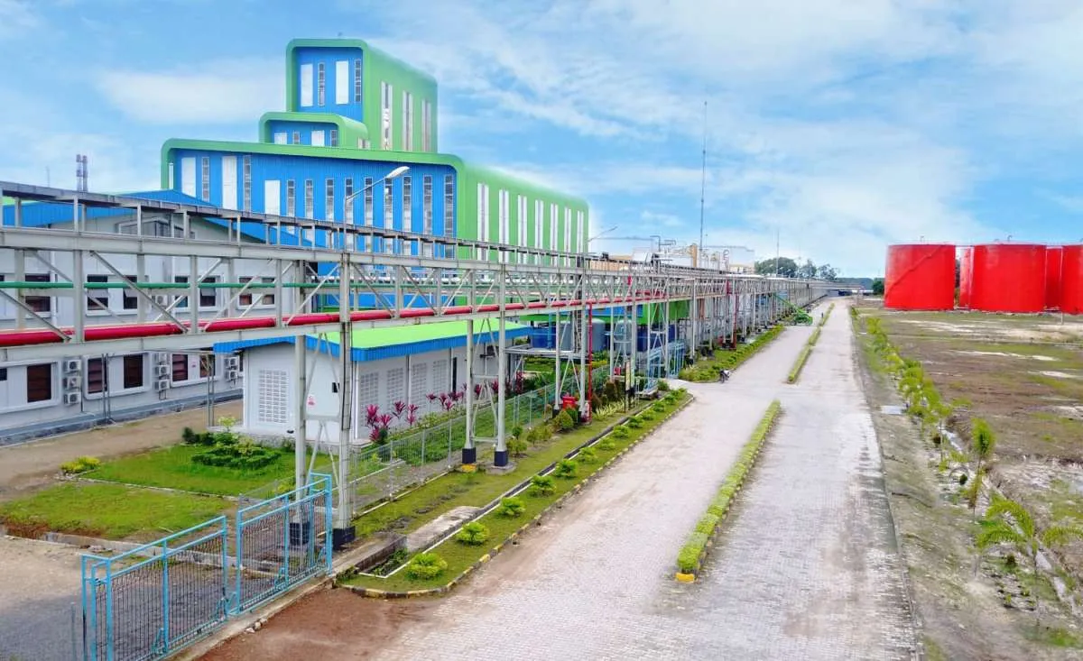 Sawit Sumbermas Sarana (SSMS) Tebar Dividen Rp 710,98 Miliar, Simak Jadwalnya