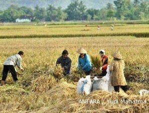 Target penyerapan gabah Bulog 3,5 juta ton pesimistis bisa tercapai