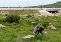 Waspada! Prakiraan Cuaca Riau dari BMKG (5-13 Desember 2025) untuk Perencanaan