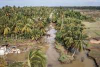 Sektor Usaha Ini yang Paling Terdampak Banjir Sumatra Menurut Apindo