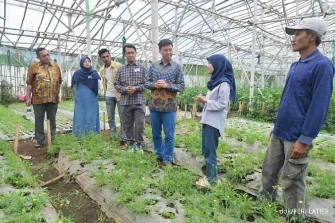 Inovasi Anak Muda Ubah Tantangan Iklim Jadi Peluang di Lahan Pertanian