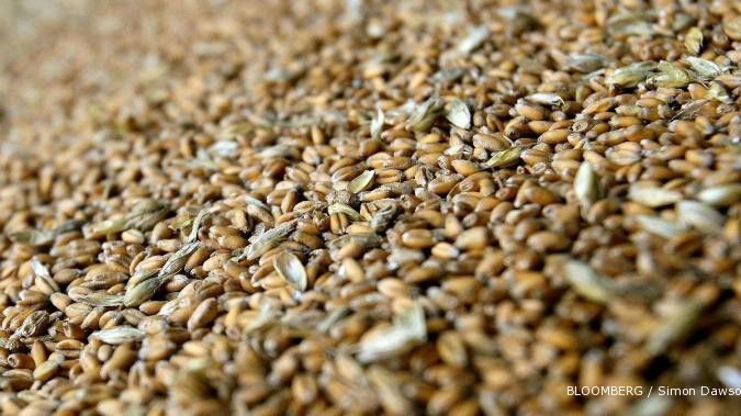 Tahun ini, impor gandum bakal naik 6%