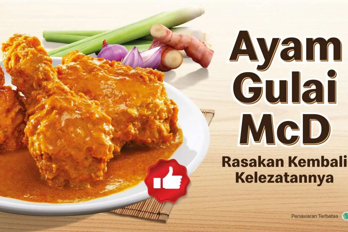 Promo McD Menu Ayam Gulai dan McFreeze yang Menyegarkan