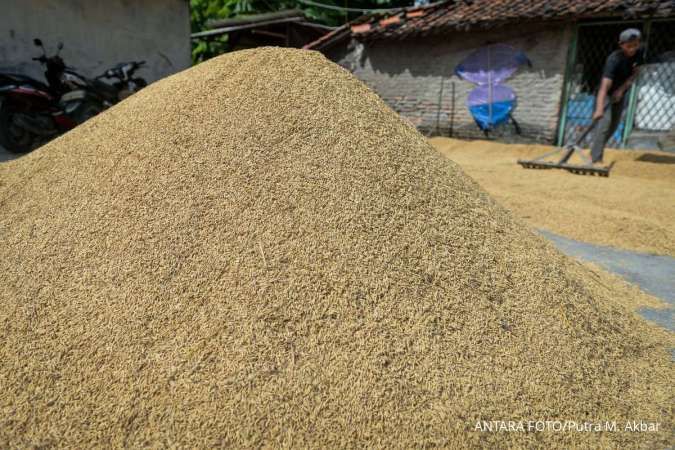 Bulog Siapkan 1 Juta Ton Beras Ekspor, ASEAN Jadi Sasaran Utama