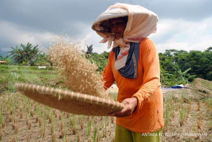Airlangga Hartarto sebut penyaluran KUR Pertanian telah capai Rp 42 triliun