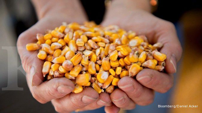 Harga jagung tersulut krisis di Krimea