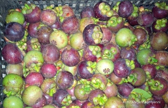 Kementerian Pertanian prediksi ekspor manggis bakal meningkat
