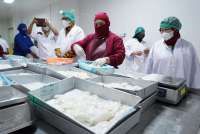 KKP Dorong Pembentukan Lembaga Pemeriksa Halal Produk Perikanan